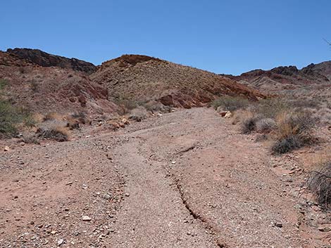 Cottonwood Spring