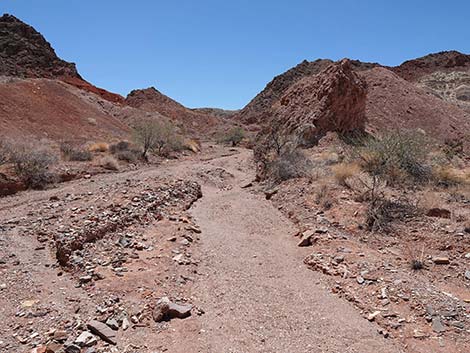 Cottonwood Spring