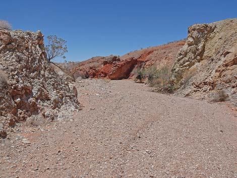 Cottonwood Wash