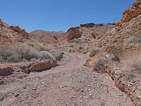 Cottonwood Spring