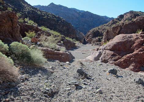 Cranes Nest Canyon