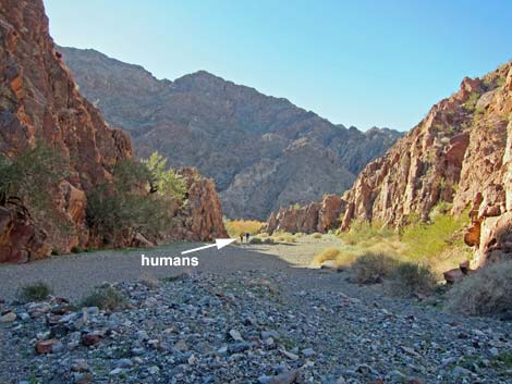 Cranes Nest Canyon