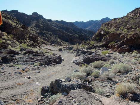 Cranes Nest Canyon