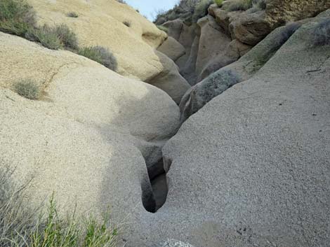 Grapevine Canyon