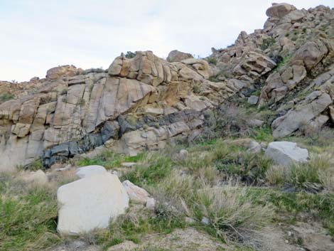 Grapevine Canyon