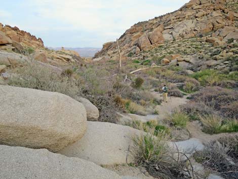 Grapevine Canyon