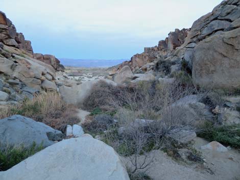 Grapevine Canyon