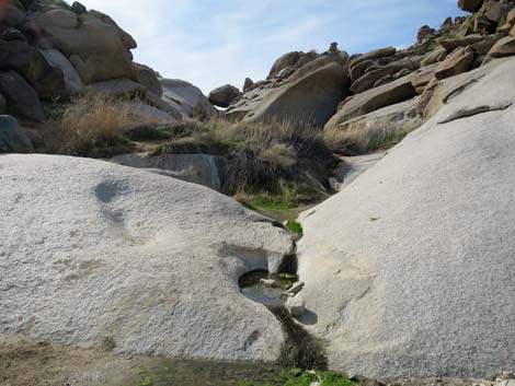 Grapevine Canyon