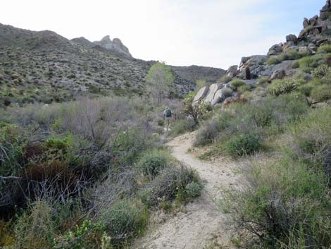 Grapevine Canyon