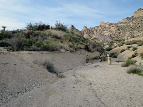 Grapevine Canyon