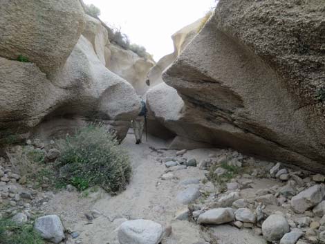 Grapevine Canyon