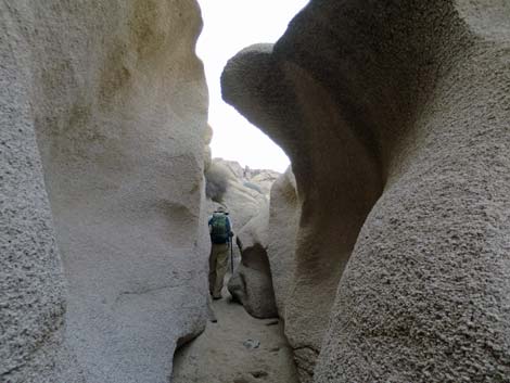 Grapevine Canyon