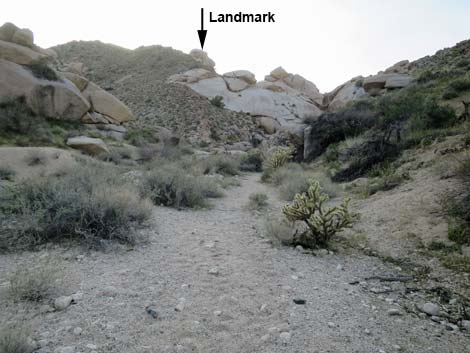 Grapevine Canyon