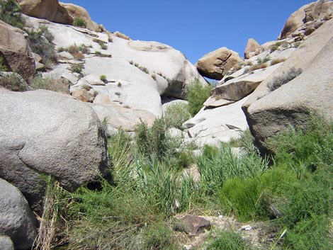 Grapevine Canyon