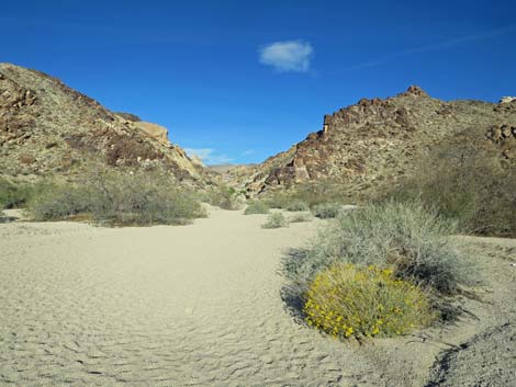 Grapevine Canyon