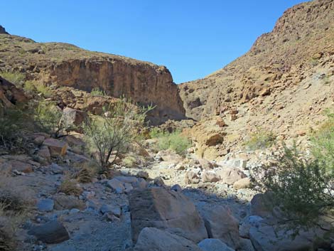 Arizona Hot Spring