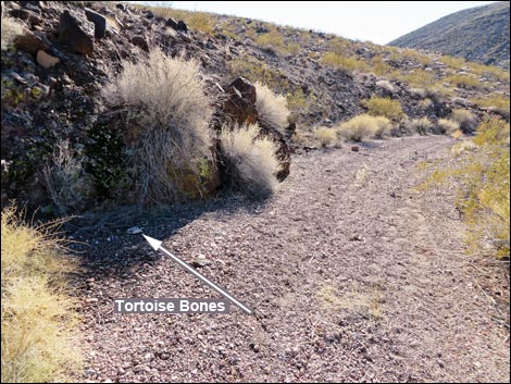 Lonesome Wash Overlook