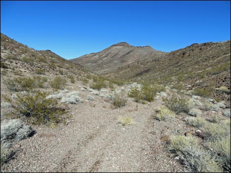 Lonesome Wash Overlook