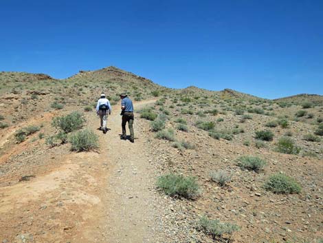 Northshore Summit Trail