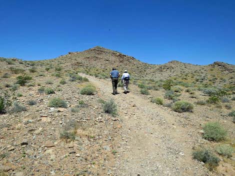 Northshore Summit Trail