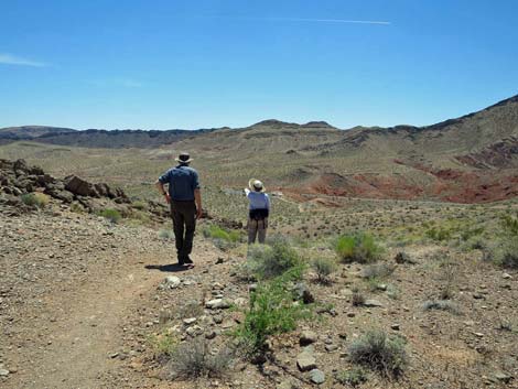 Northshore Summit Trail