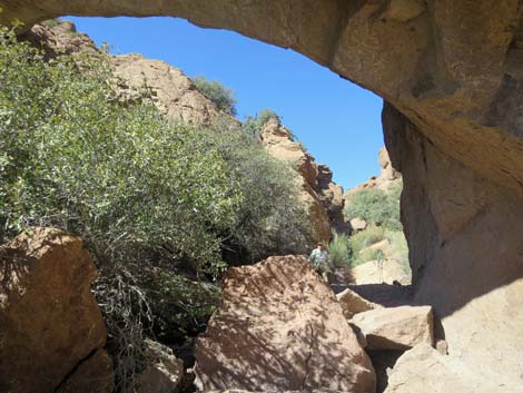 Natural Bridge