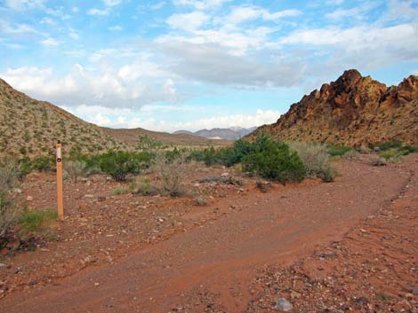 Bittersprings Campground