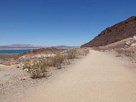 Railroad Tunnels Trail