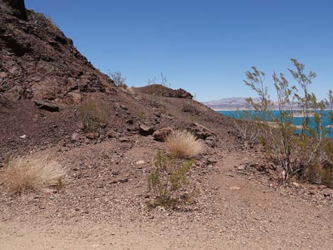 Railroad Tunnels Trail