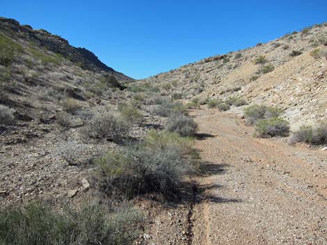 Razorback Wash North Route