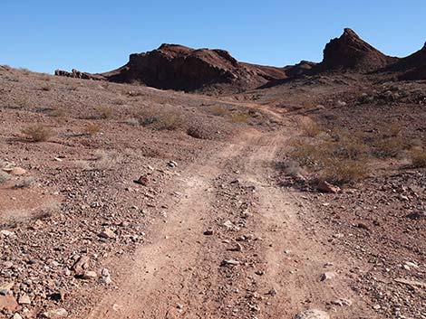 Red Needle Trail