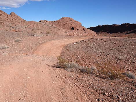 Red Needle Trail