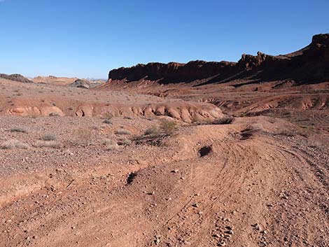 Red Needle Trail