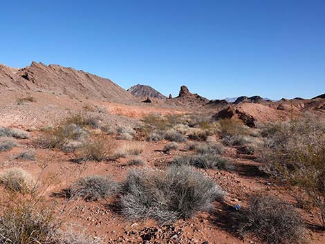 Red Needle Trail