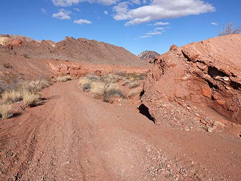 Red Needle Trail