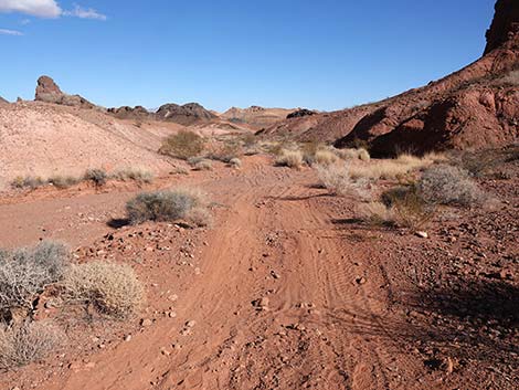 Red Needle Trail