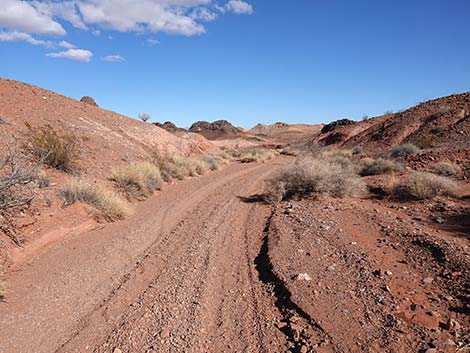 Red Needle Trail