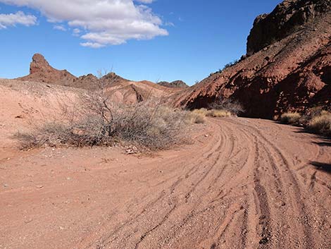 Red Needle Trail