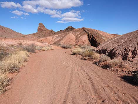 Red Needle Trail