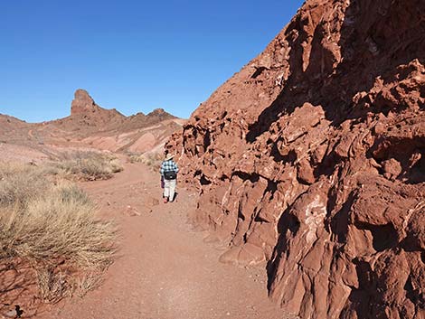 Red Needle Trail