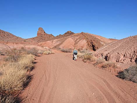 Red Needle Trail