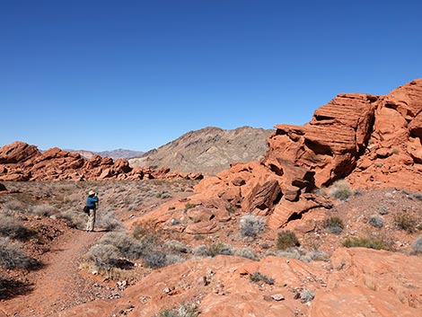 Redstone Dune Loop Trail