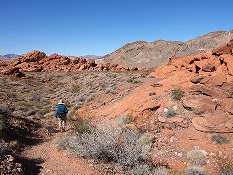 Redstone Dune Loop Trail