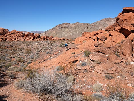 Redstone Dune Loop Trail