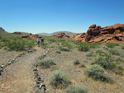 Redstone Dune Loop Trail