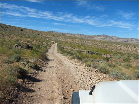 Bitter Springs Byway