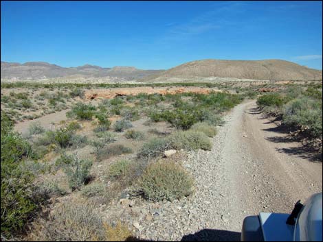 Bitter Springs Byway