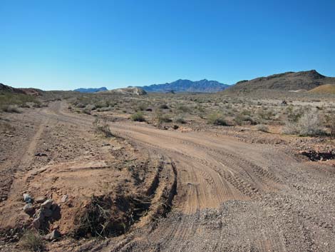 Bitterspring Road