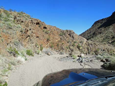 Boy Scout Canyon Road