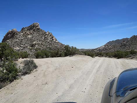 Christmas Tree Pass Road